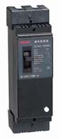 DELIXI德力西DZ15LE系列熱磁式剩余電流動(dòng)作斷路器